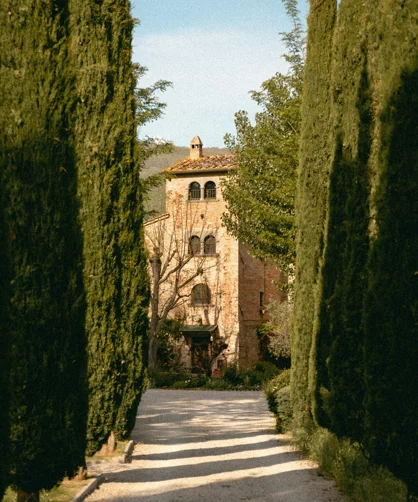 Village of the Olivi